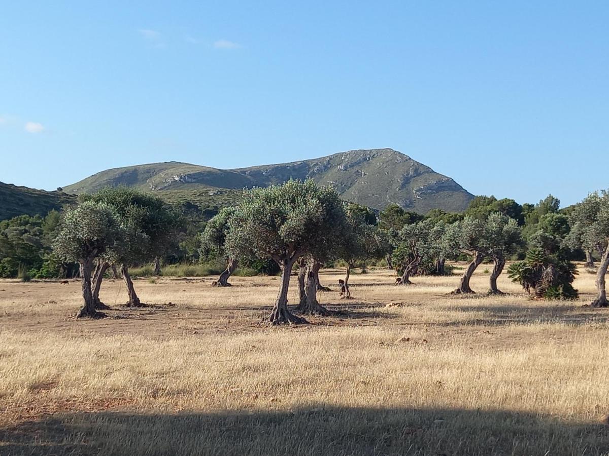 شقة El Nido De Betlem كولونيا دي سانت بير المظهر الخارجي الصورة