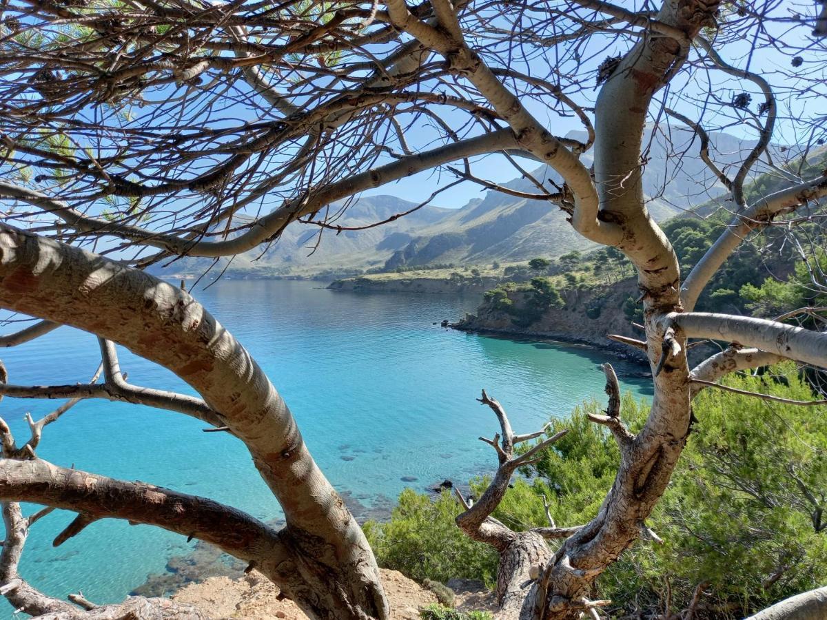شقة El Nido De Betlem كولونيا دي سانت بير المظهر الخارجي الصورة